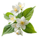 White musk