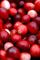 Red Berries
