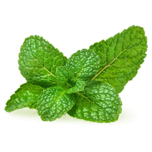 Mint