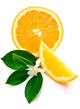 Petitgrain